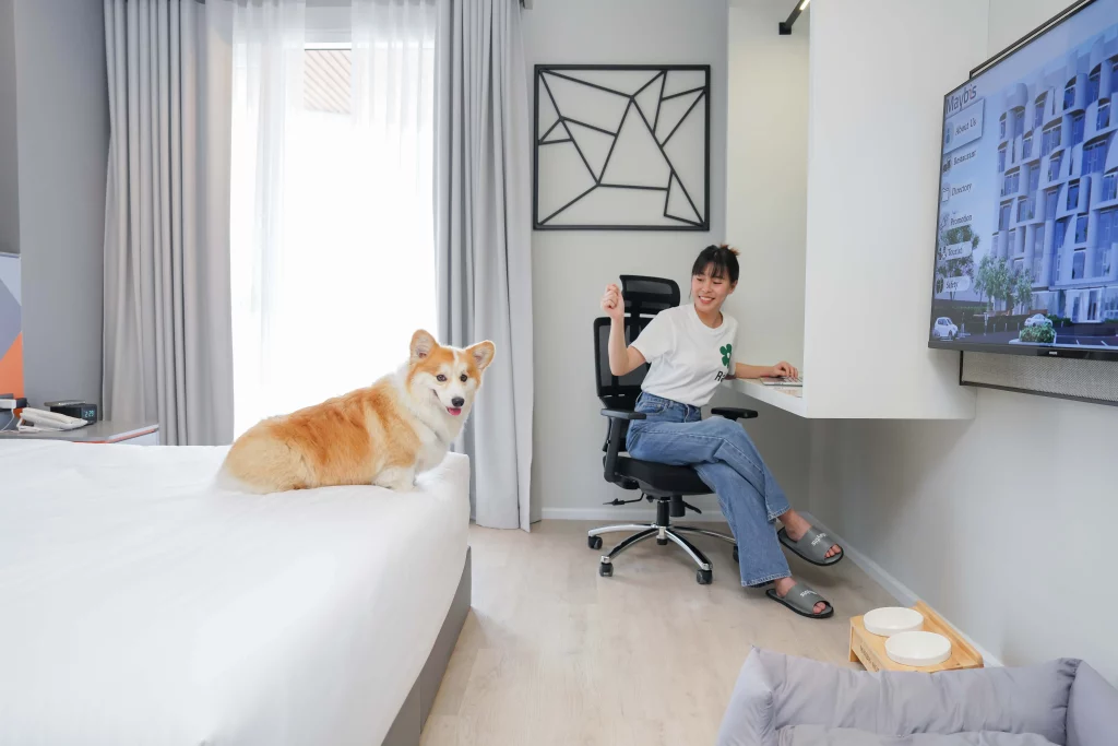 pet friendly Maybis Hotel สมุทรปราการ