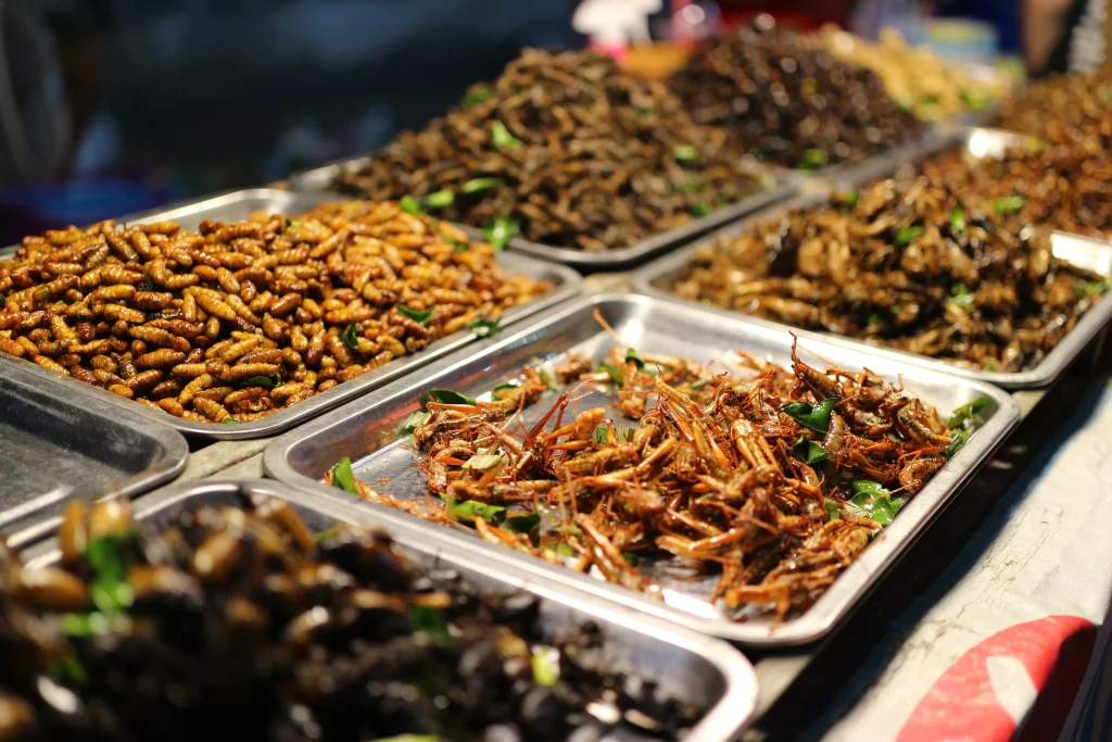 “กินเที่ยวใช้ ครั้งที่ 1” Street Food Festival